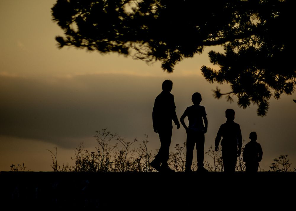 Photograph by Андрей Шабис