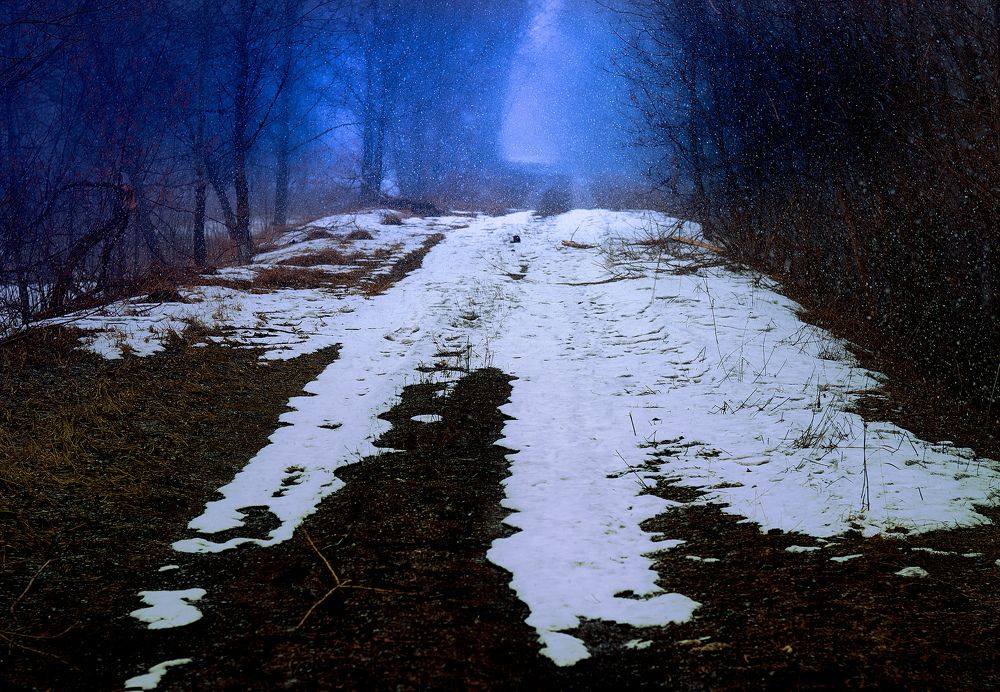 Photograph by Слава Саломатин