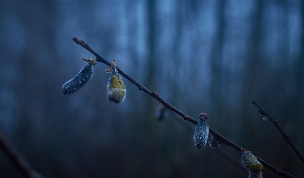 Photograph by Слава Саломатин