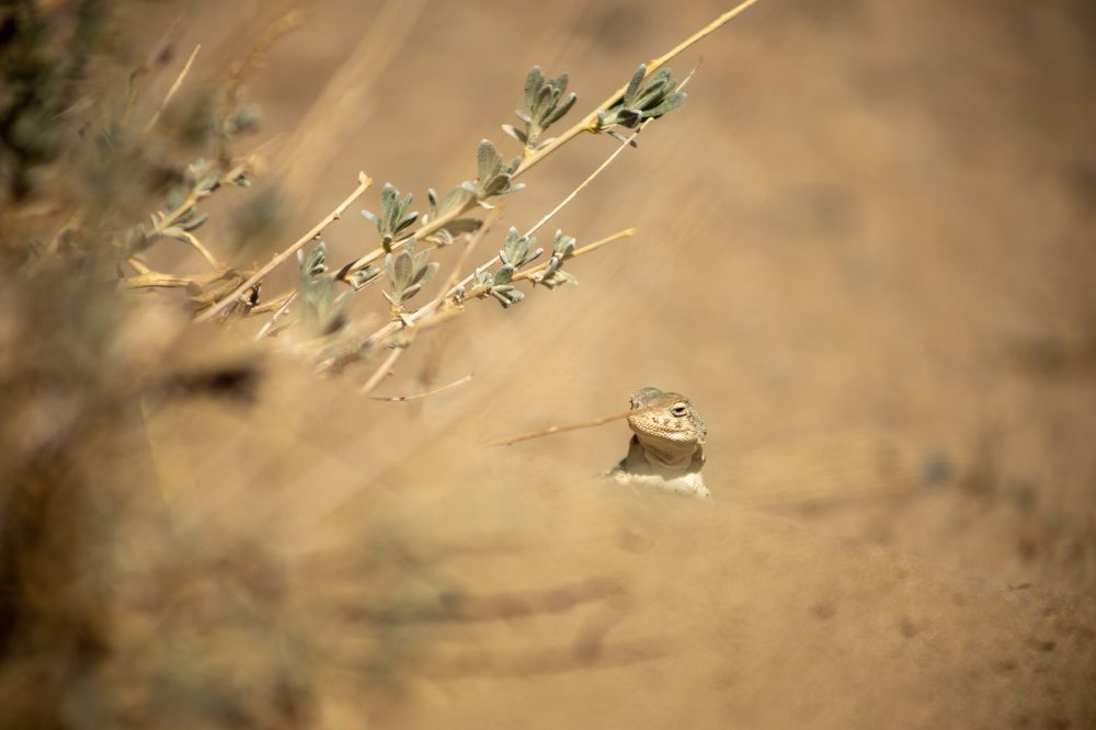 Photograph by Андрей Шабис