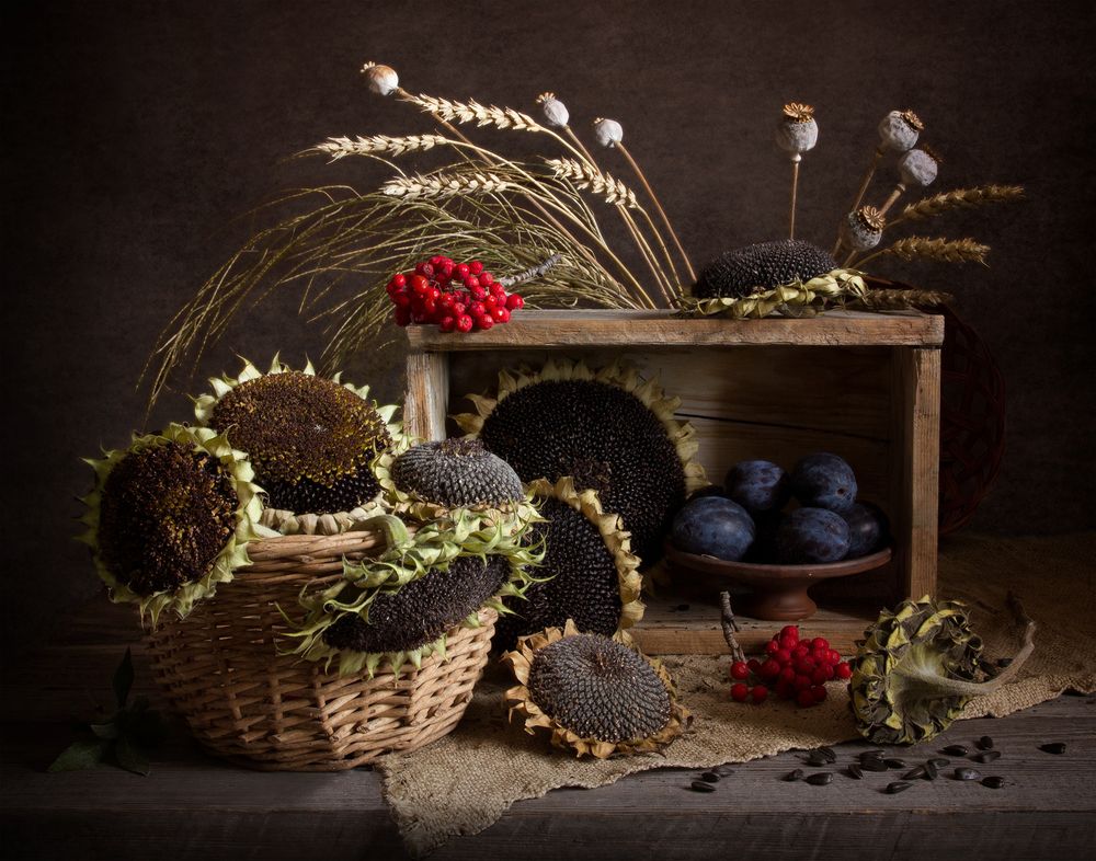 Photograph by Вера Лопатина