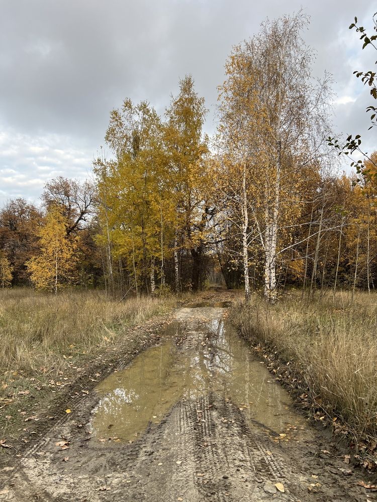 Photograph by Виктория Погорилко