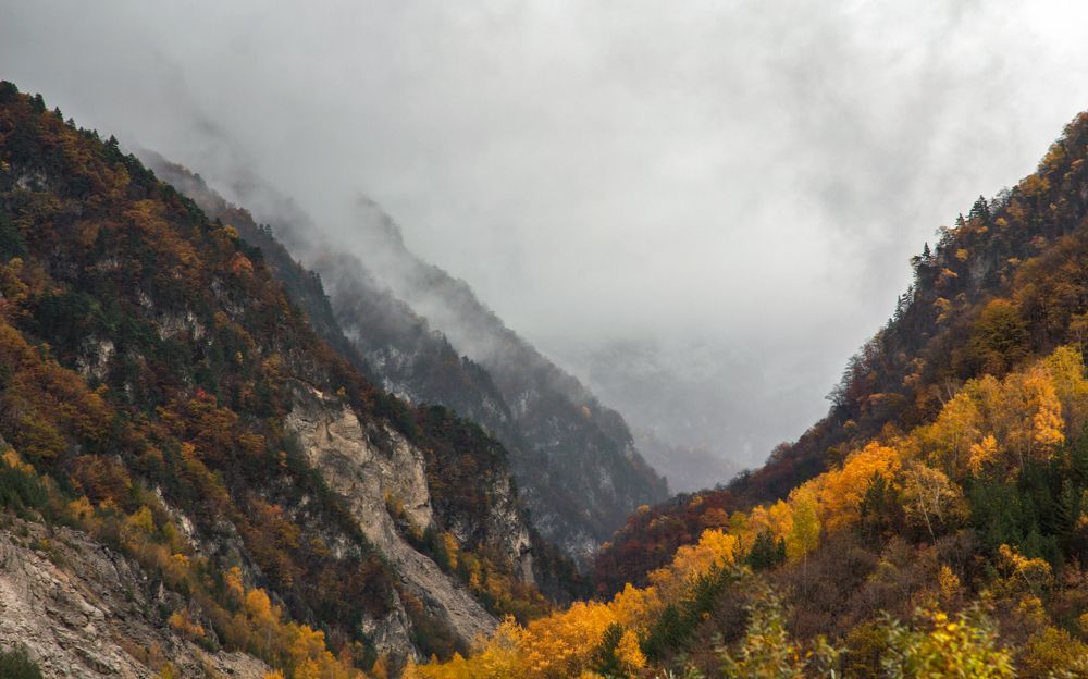 Photograph by Olga Min