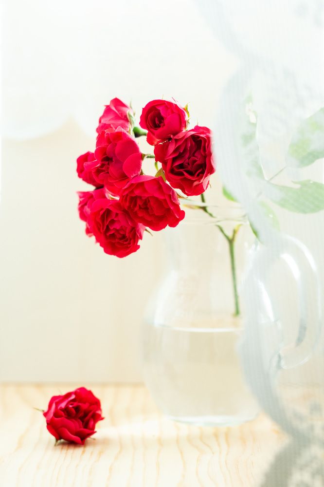 Photograph by Elena Papadopoulou