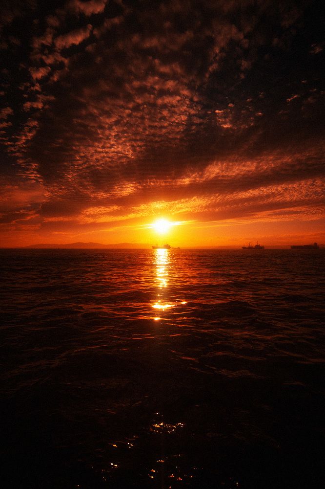 Photograph by Константин Малютин