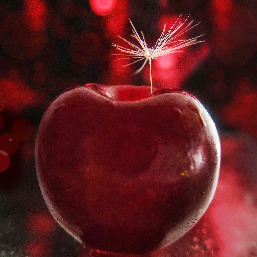 Photograph by Оксана Маракушина