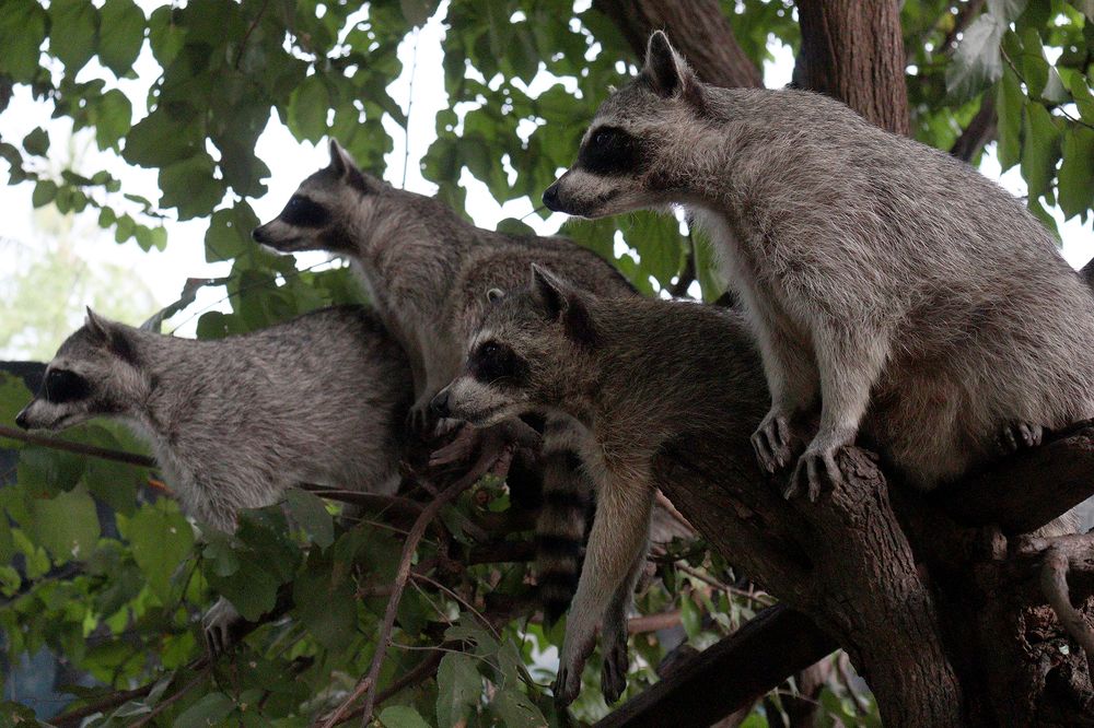 Фотография автора Sergio Sergio Cano Arias
