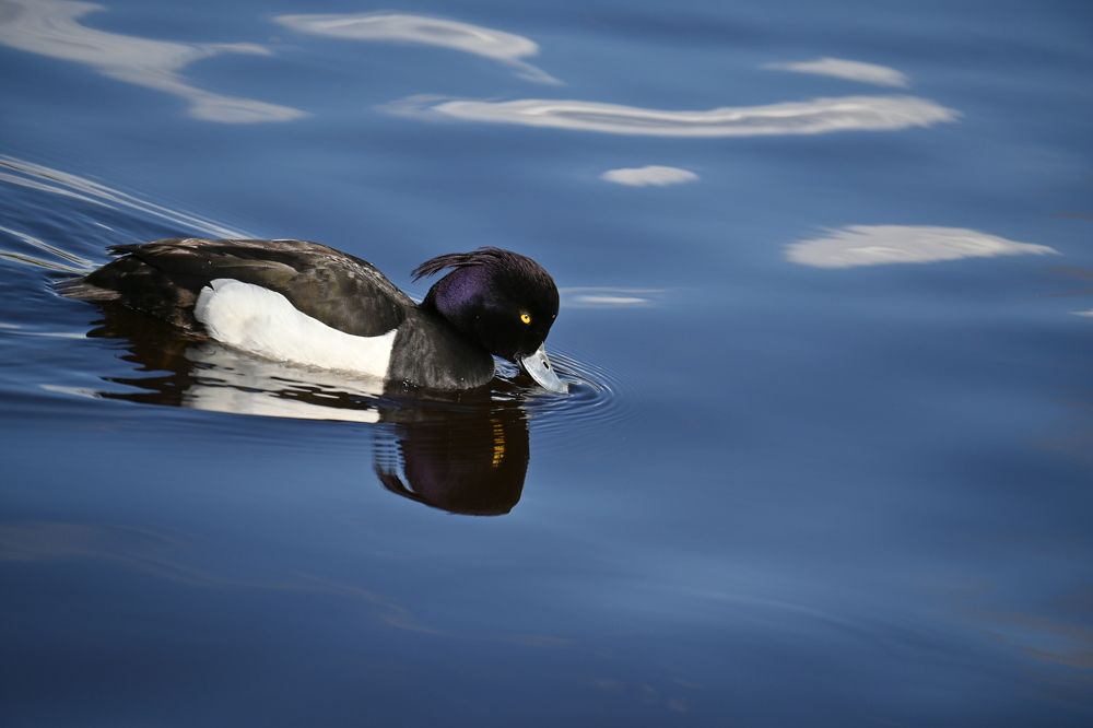 Фотография автора IRINA FILIPPOVA