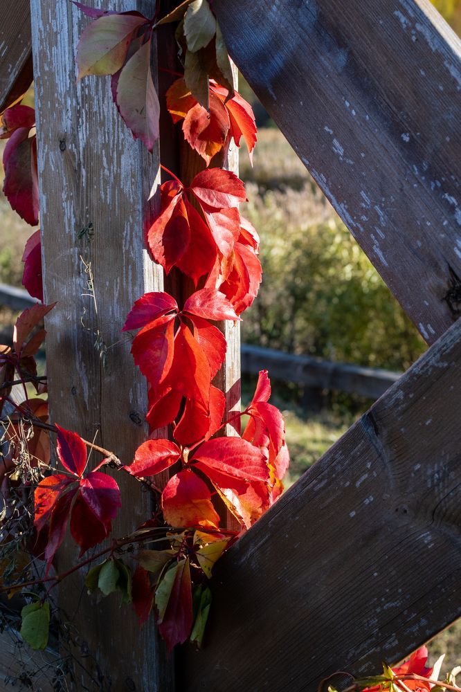 Photograph by Юрий Катков