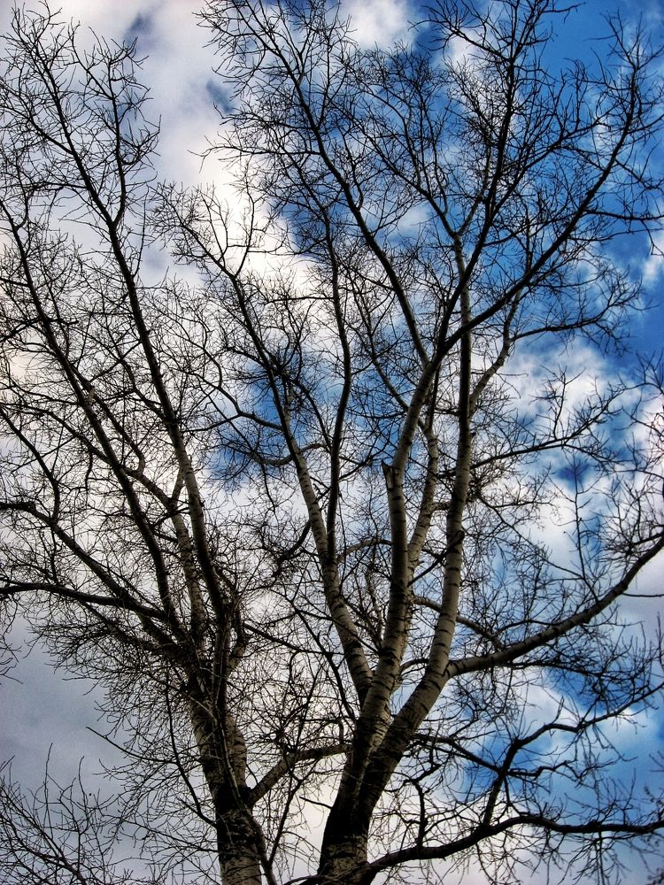 Photograph by Светлана Барабанова