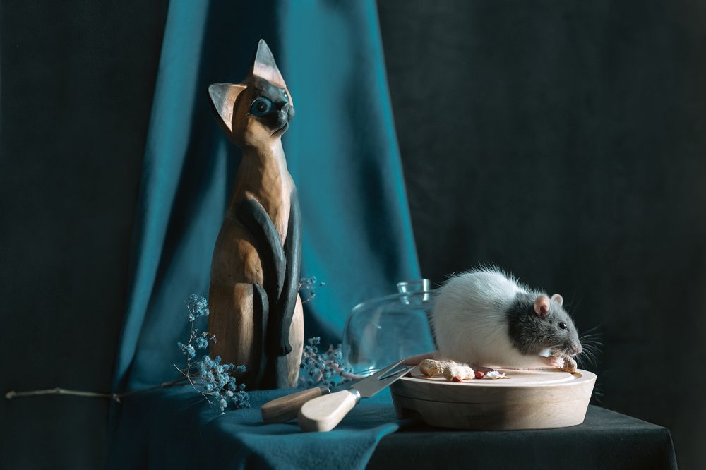 Photograph by Ольга Рачилова