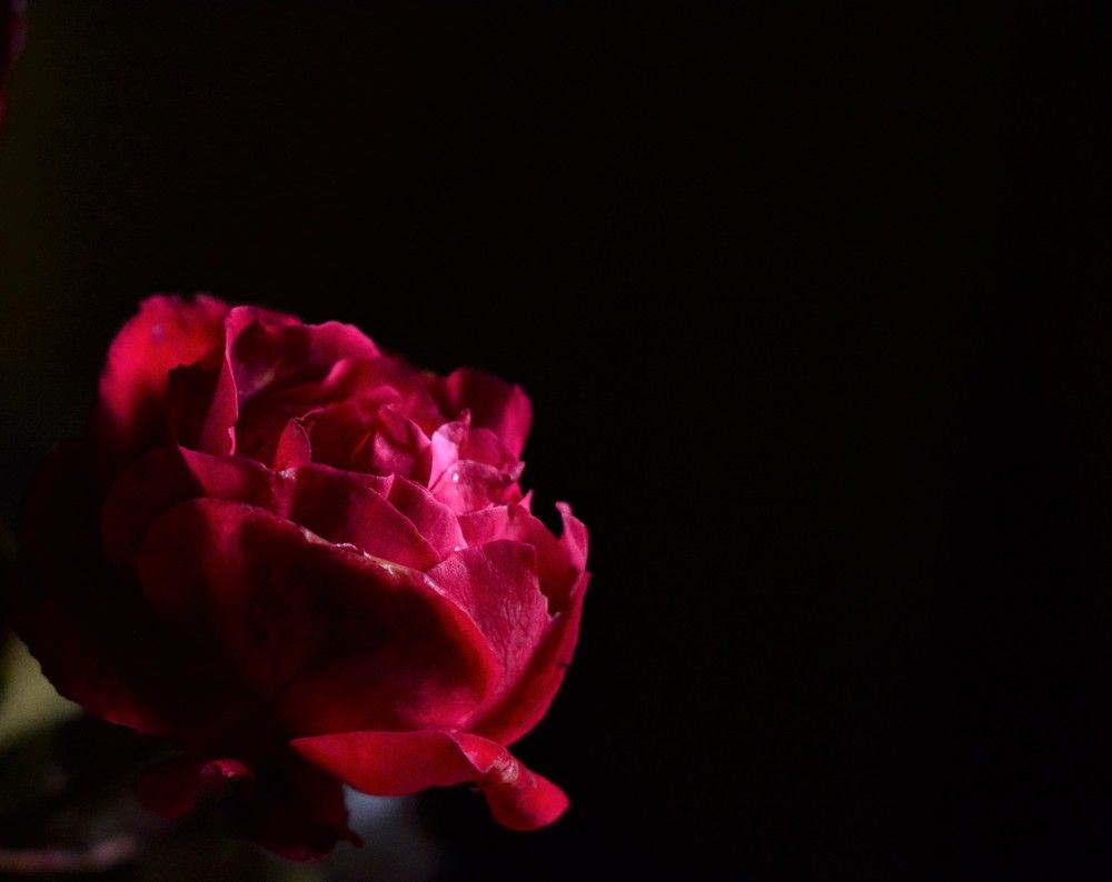 Photograph by Дмитрий