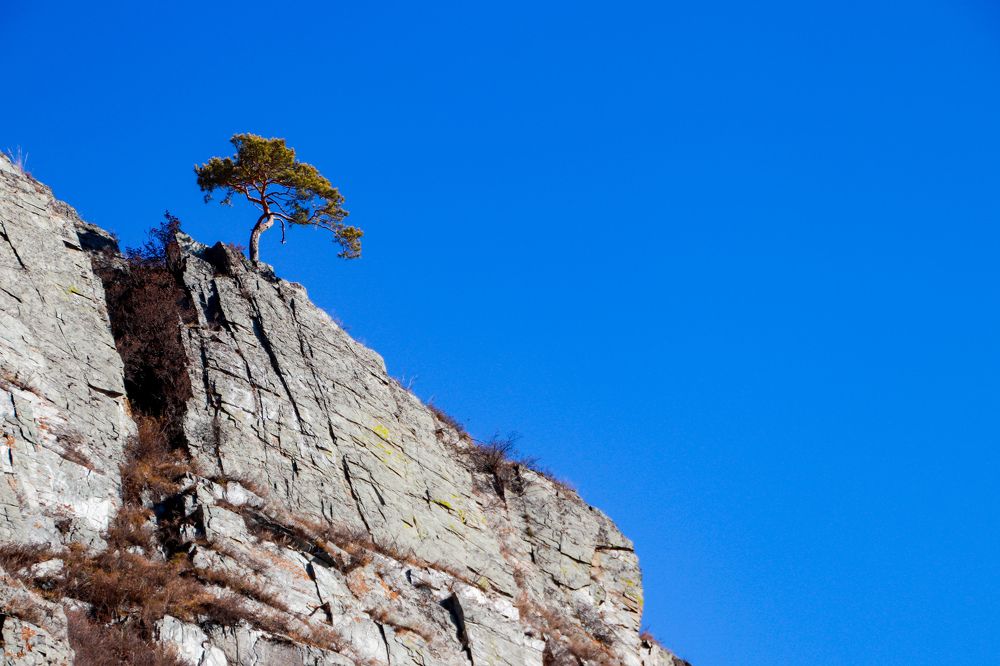 Photograph by Наталья Трифуз