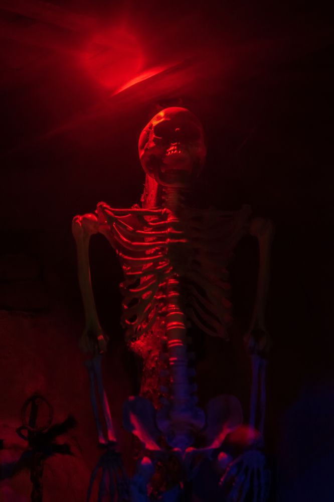 Photograph by Артём Александрович