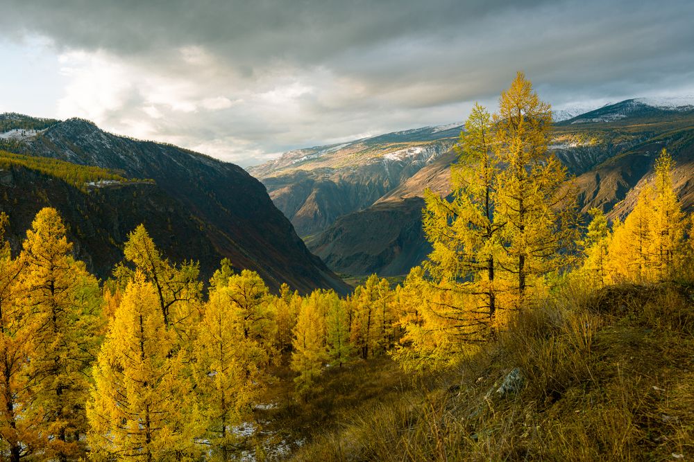 Photograph by Борис Леваков