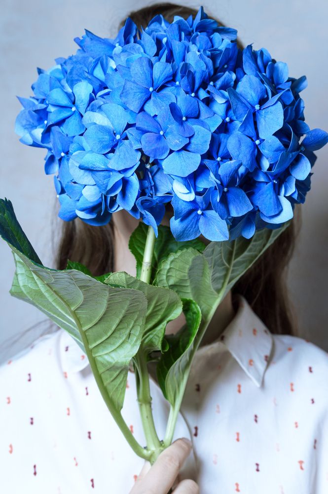 Photograph by Pauline Starodubova