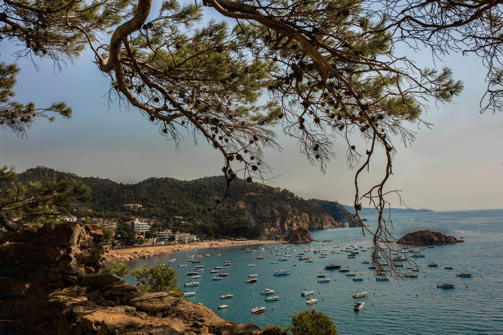 Photograph by Людмила Колесниченко