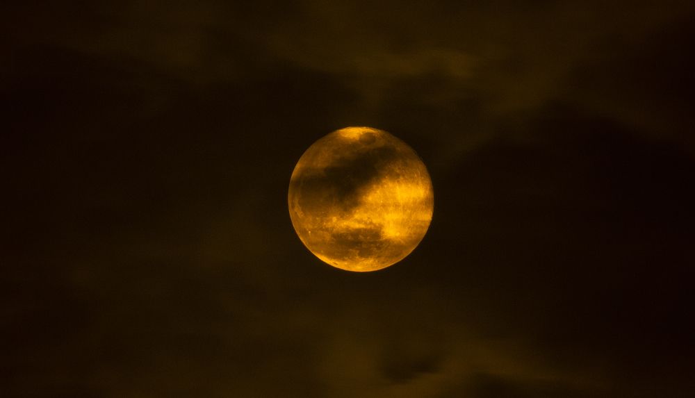 Фотография автора Minh An