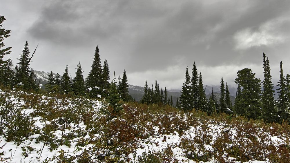 Осень, высокогорье.
