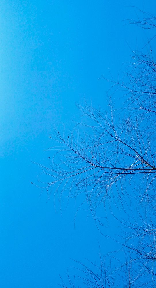 Фотография автора Laddu Sasindu Pramuditha De Silva