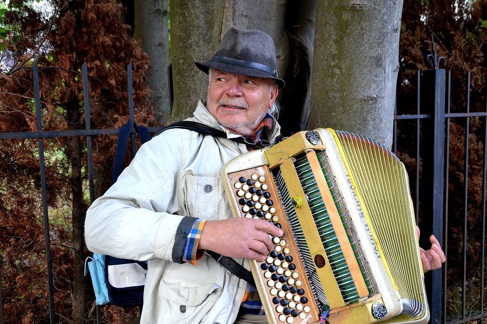 Уличный аккордеонист