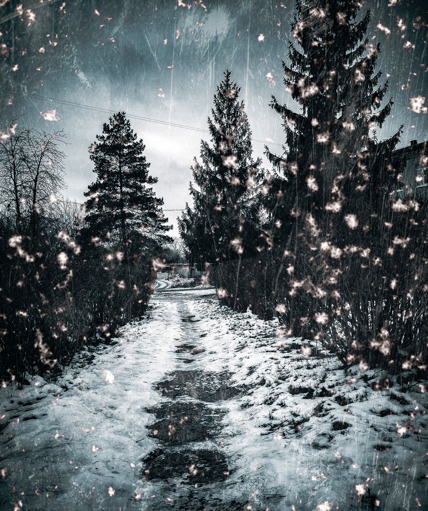 Photograph by Викулов Сергей