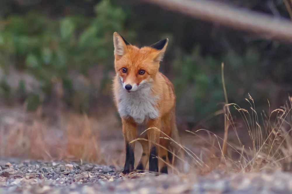 Photograph by Vladimir Soroka