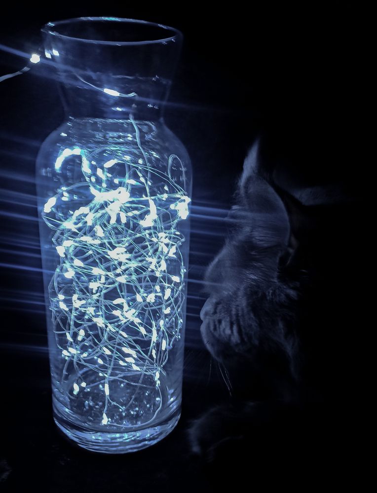 Photograph by Ирина Дегтярева