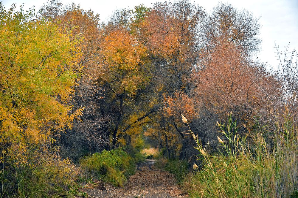 Photograph by Merdan Orazow