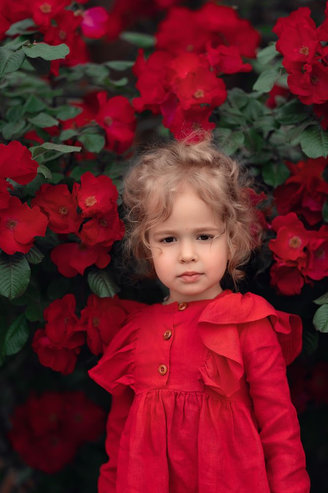 Photograph by екатерина Толстоусова