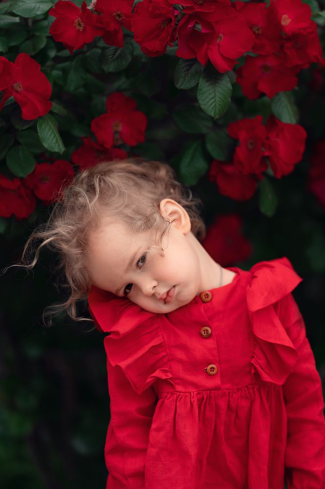 Photograph by екатерина Толстоусова