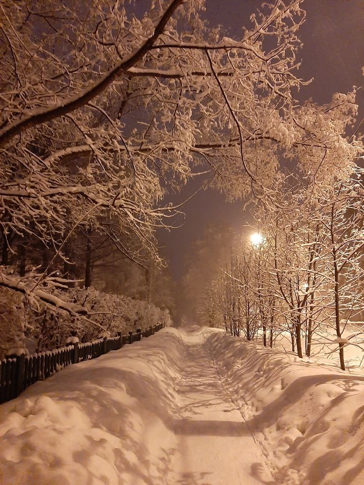 Photograph by Елена Горева