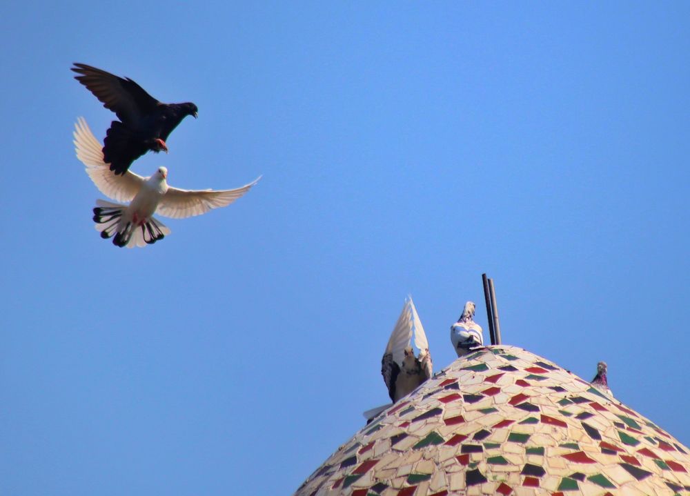 Photograph by Ekra Tasfia