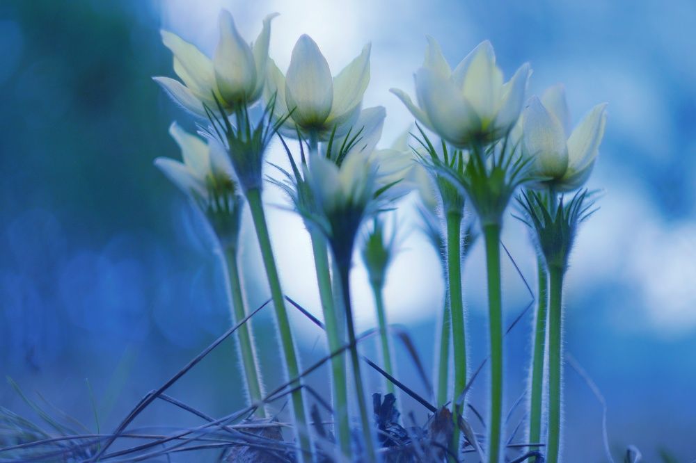 Photograph by Светлана Лехмус