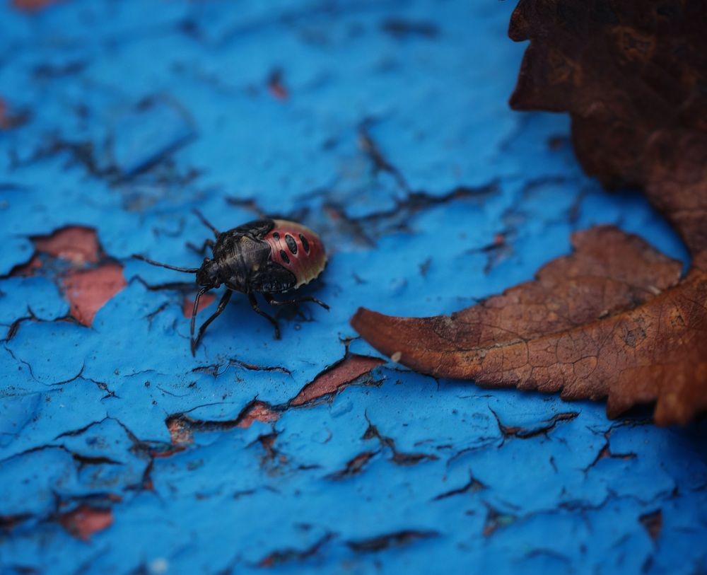 Photograph by Екатерина