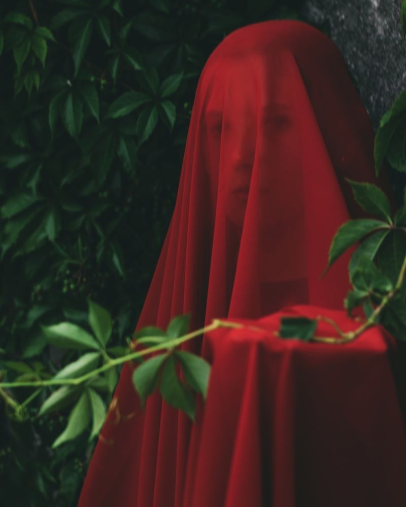 Photograph by Денис Панин