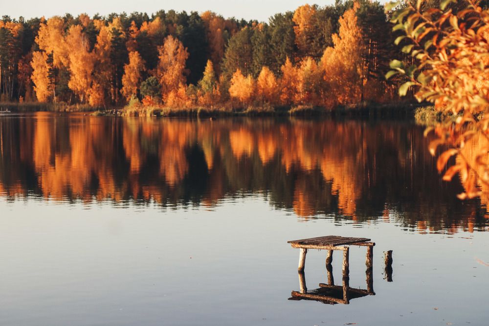 Фотография автора Вера Инюшкина