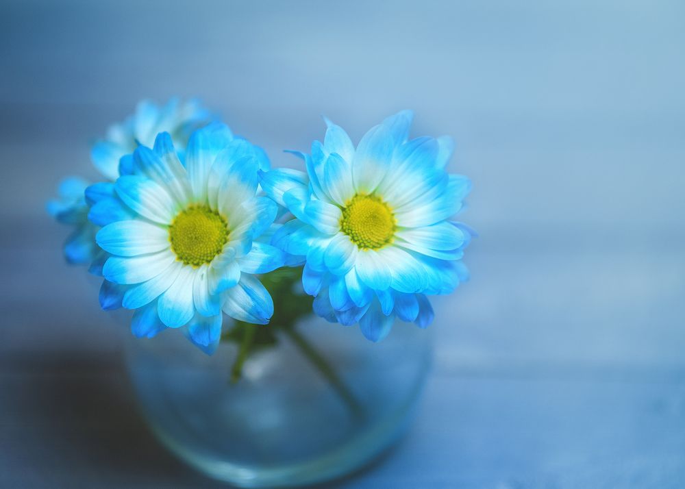 Photograph by Надежда Скок