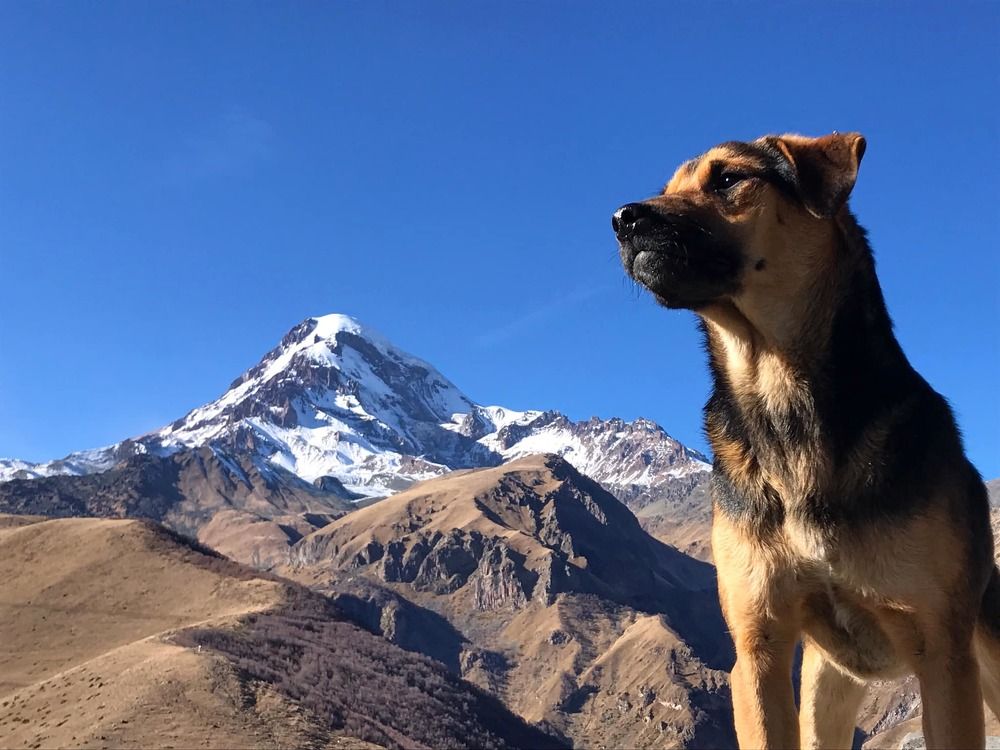 Photograph by Nunu Gambashidze