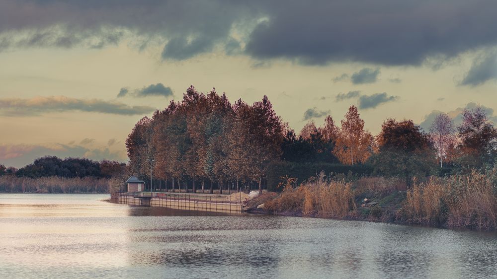 Photograph by Лазурченко Анастасия