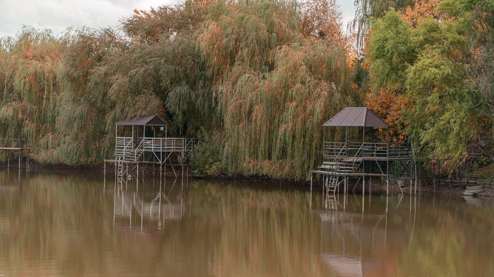 Photograph by Лазурченко Анастасия