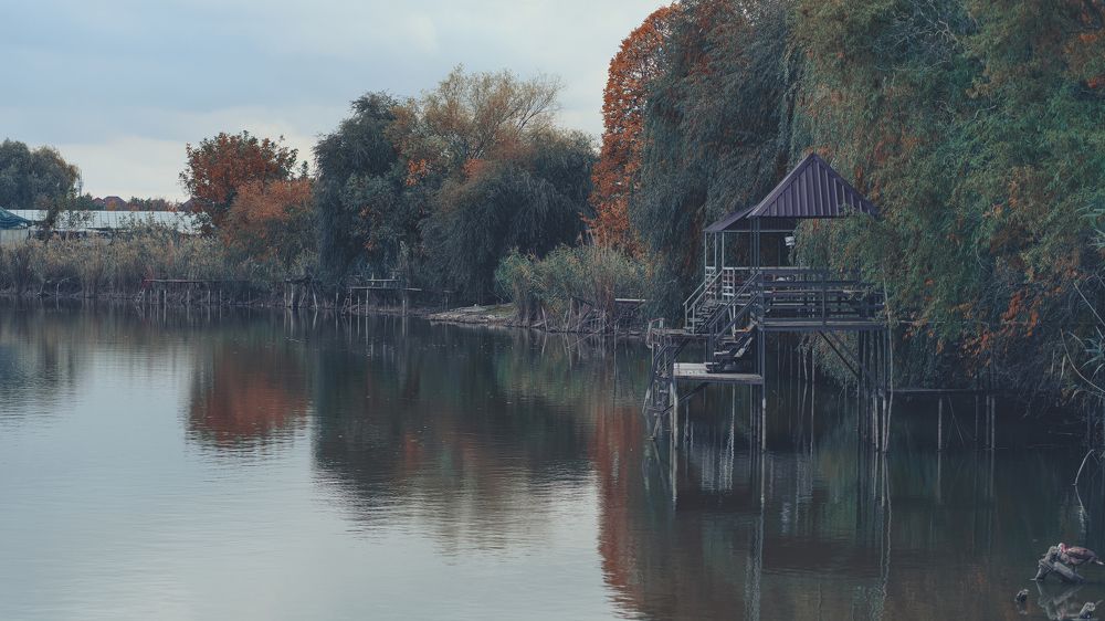 Photograph by Лазурченко Анастасия