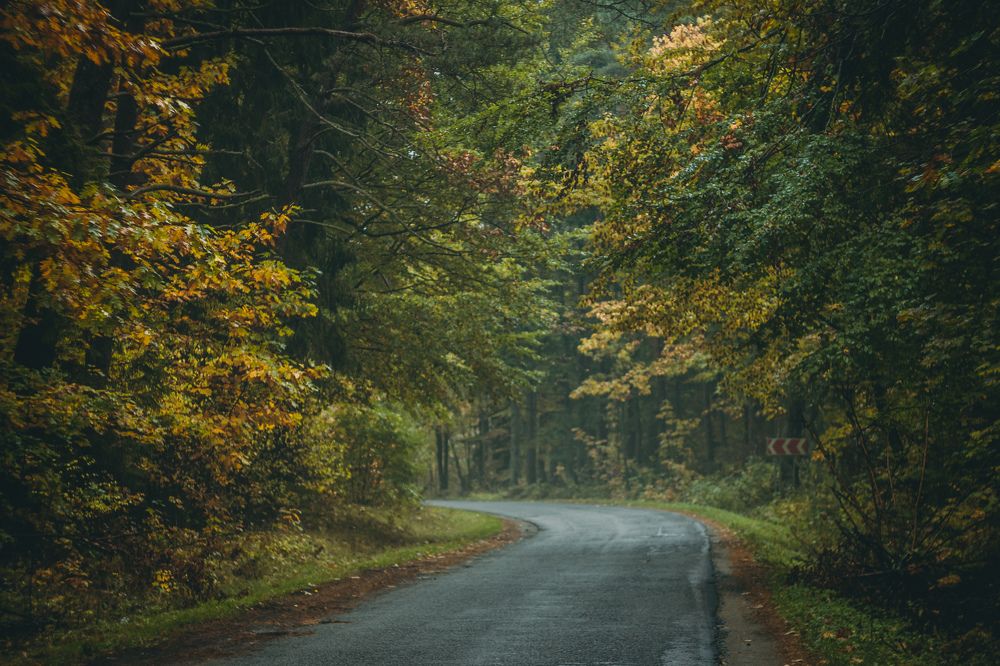 Photograph by Елена Мазурик