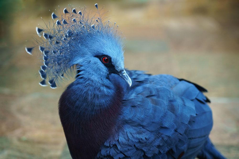 Photograph by Ольга Рачилова