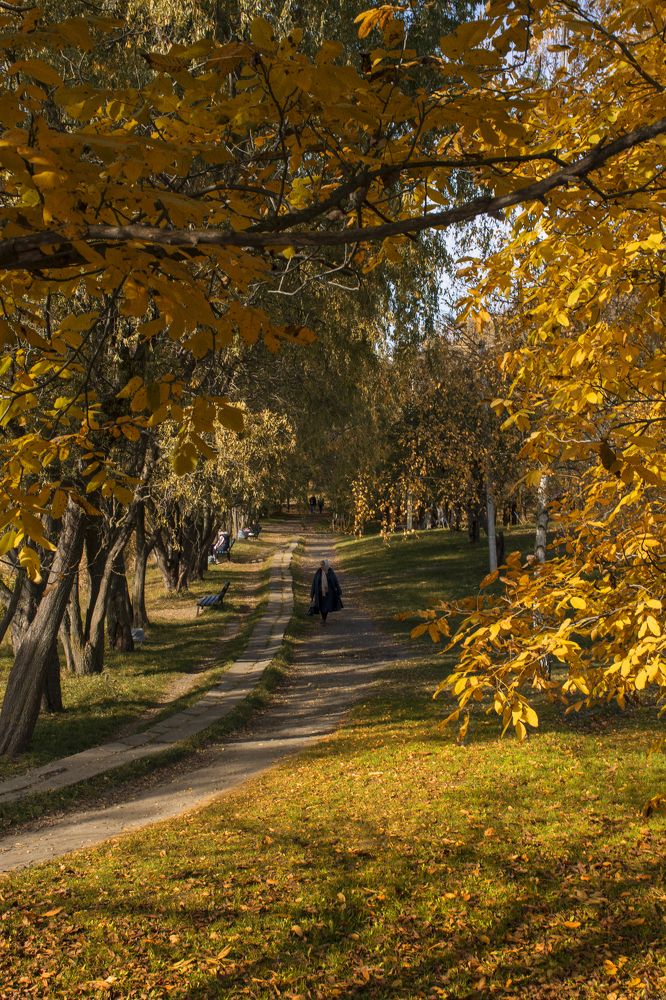 Photograph by Давид Тетельман