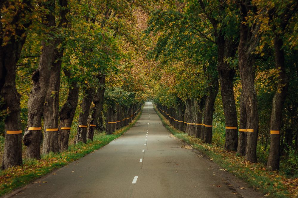 Photograph by Елена Мазурик