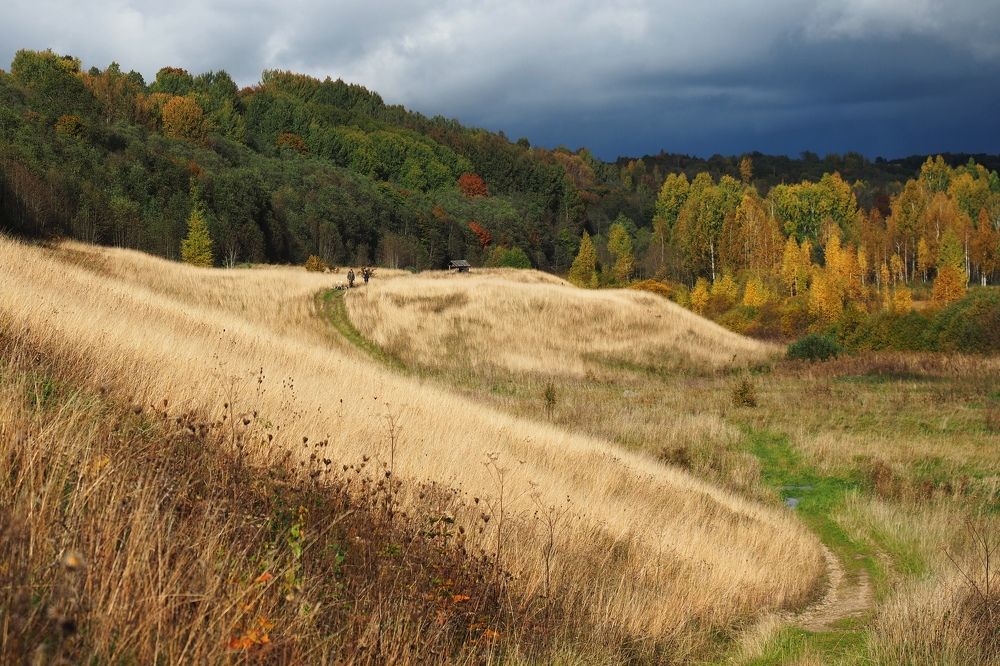 Photograph by Татьяна