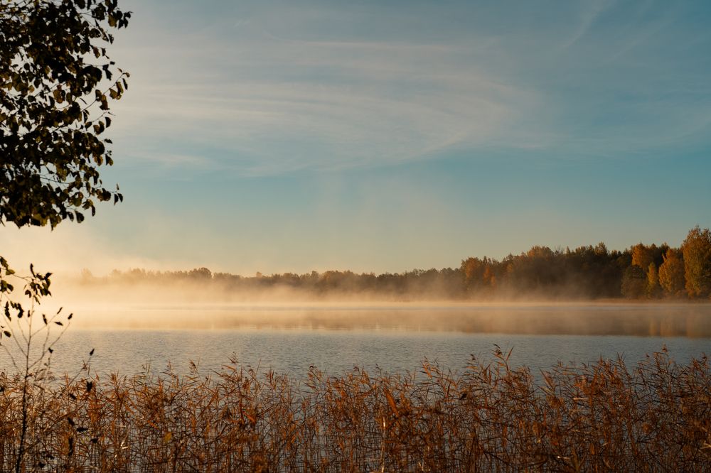 Photograph by екатерина Толстоусова