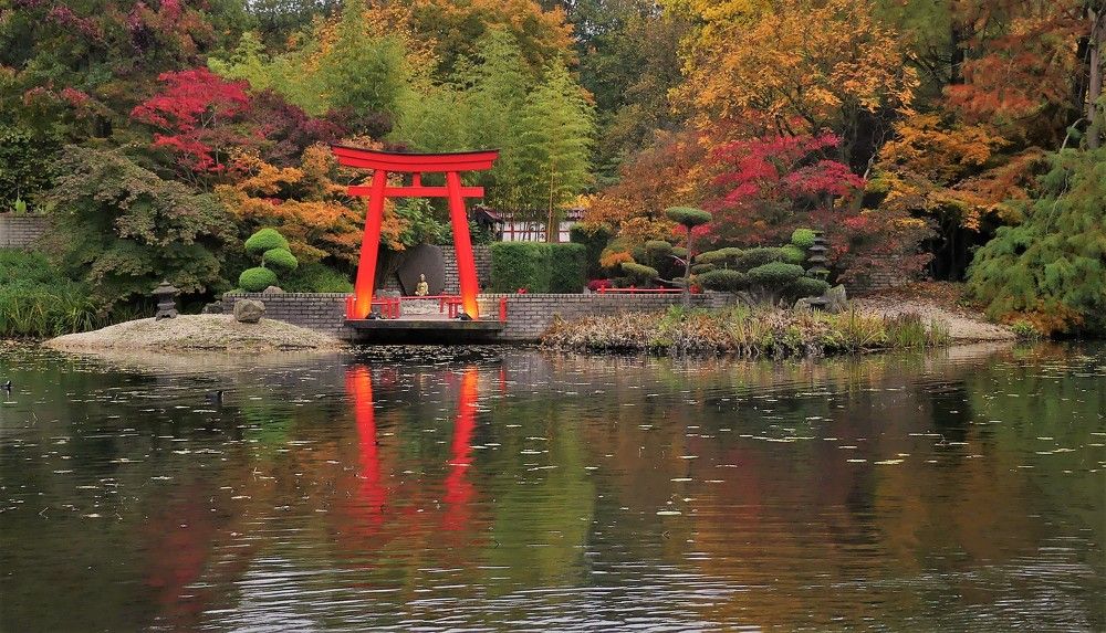 Краски осени