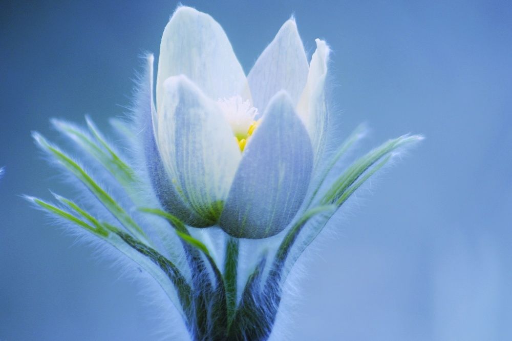 Photograph by Светлана Лехмус